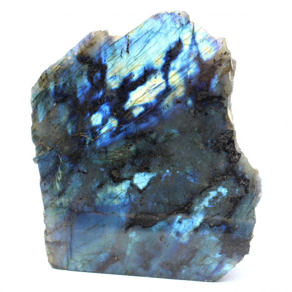 Labradorite une face polie de collection