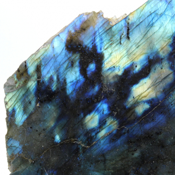 Labradorite une face polie de collection