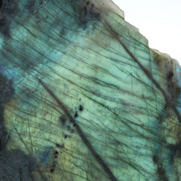 Roche une face polie en labradorite