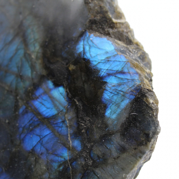 Labradorite