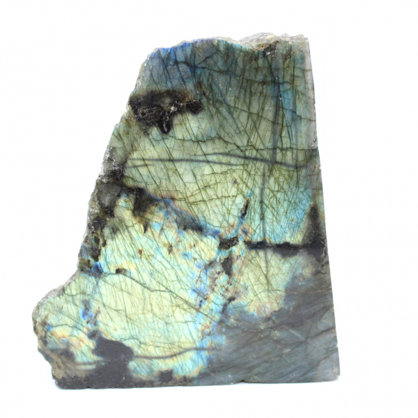 Labradorite une face polie ornementale