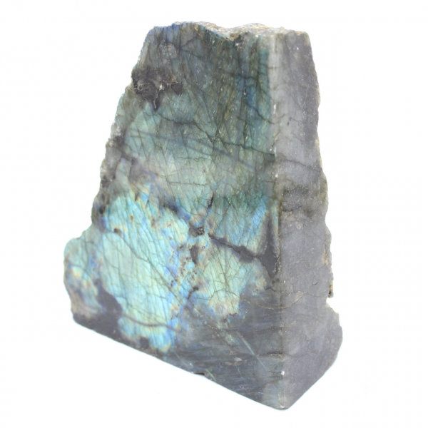 Labradorite une face polie ornementale