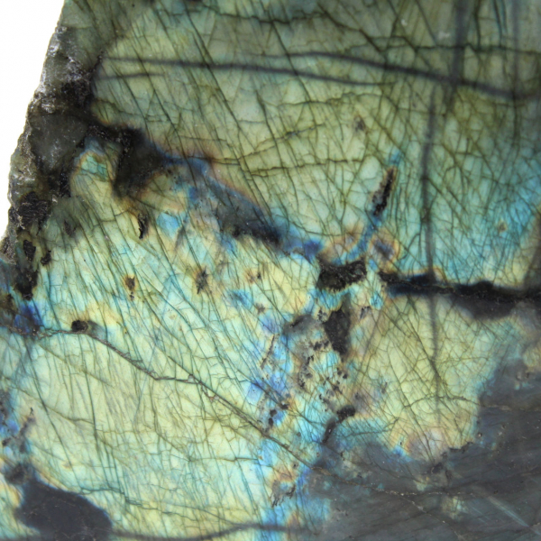 Labradorite une face polie ornementale