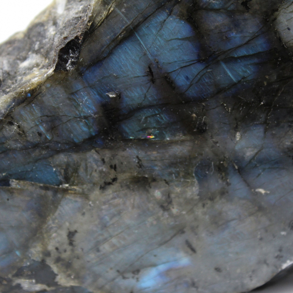 Labradorite blanche une face polie naturelle de collection