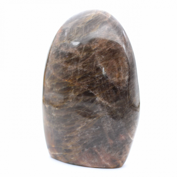 Microcline noire naturelle de collection