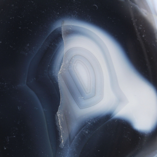 Forme libre polie en Agate