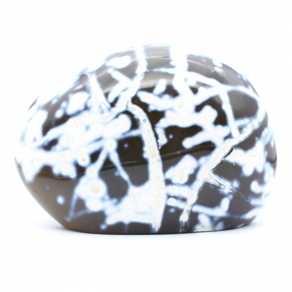 Forme libre de Agate