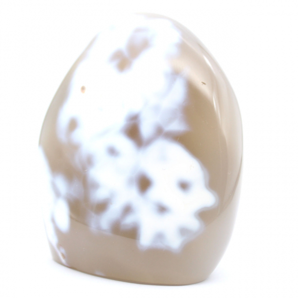 Agate d'ornement