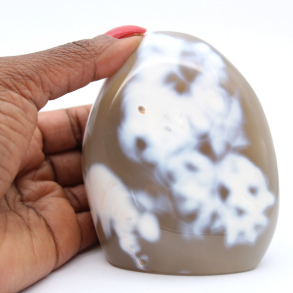 Agate d'ornement