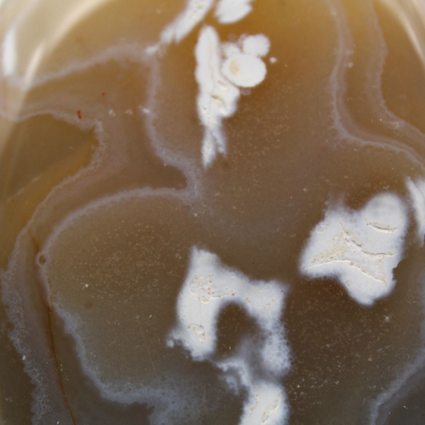 Agate ornementale