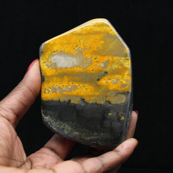 aspe Bumblebee Poli Indonésie Collection