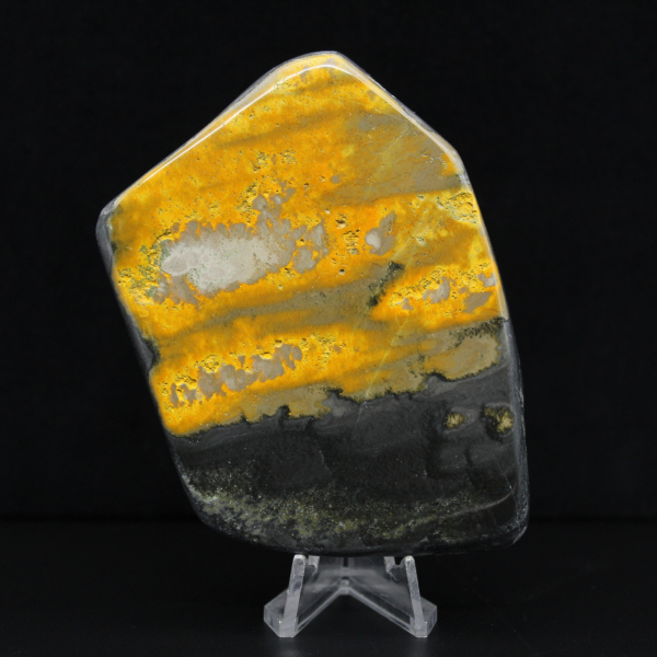 aspe Bumblebee Poli Indonésie Collection