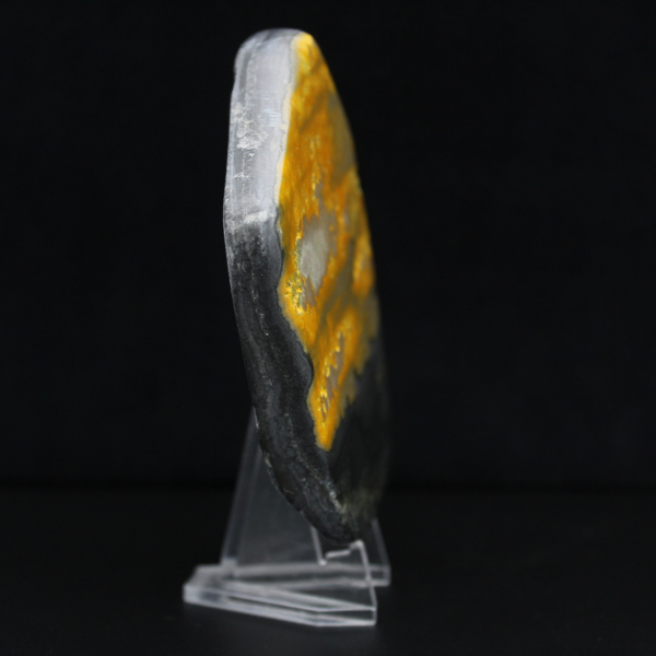 aspe Bumblebee Poli Indonésie Collection