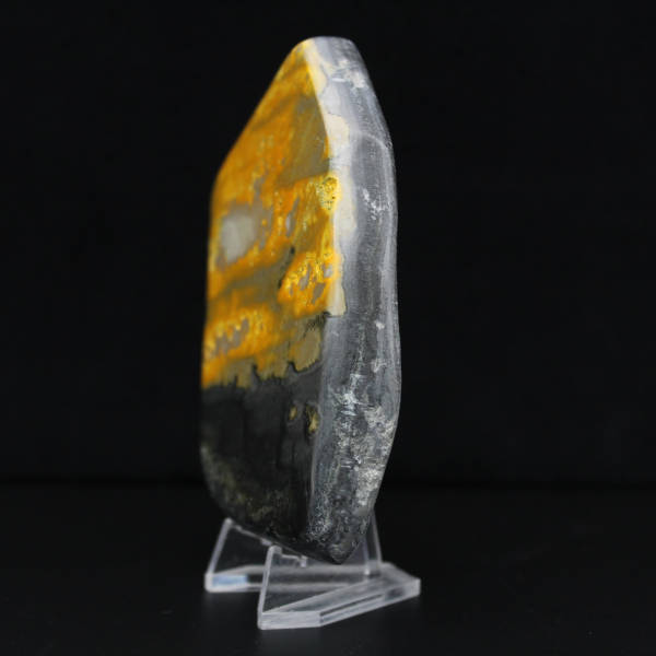 aspe Bumblebee Poli Indonésie Collection