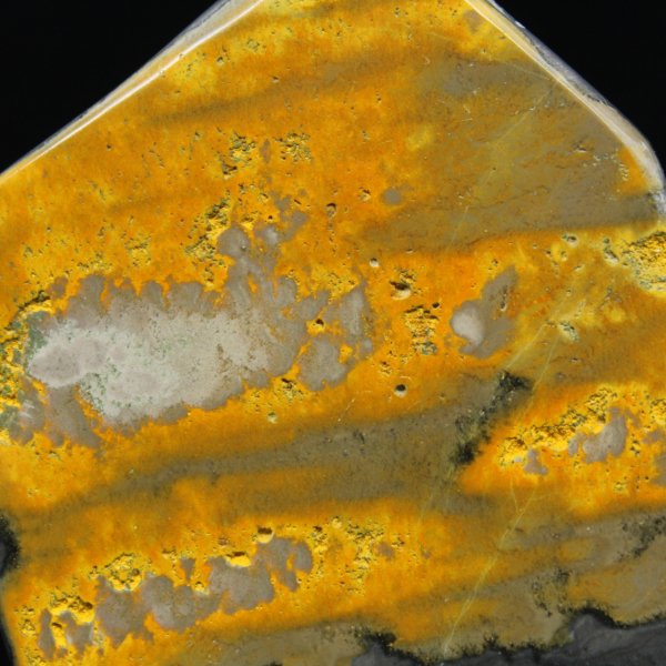 aspe Bumblebee Poli Indonésie Collection