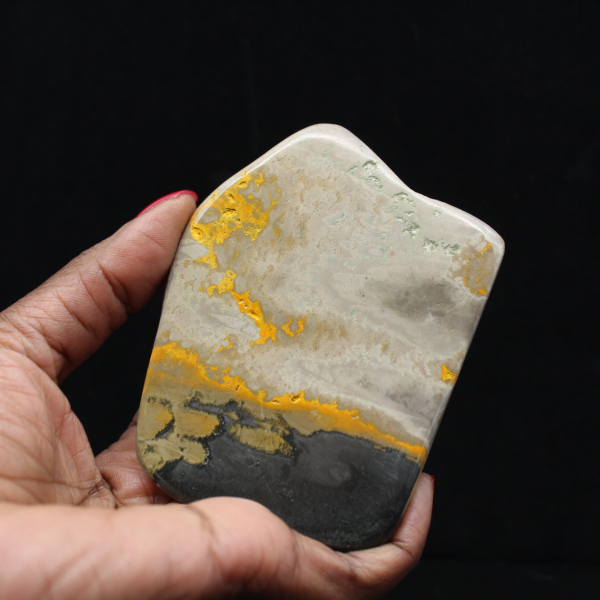 Jaspe Bumblebee Spécimen Authenticité Décoration