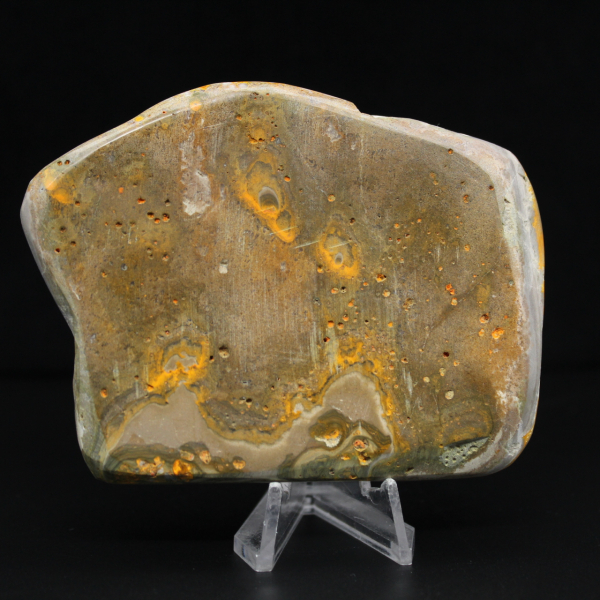 Jaspe Bumblebee Spécimen Authenticité Décoration