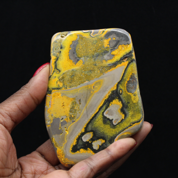 Ornement Jaspe Bumblebee Poli Couleurs Vives