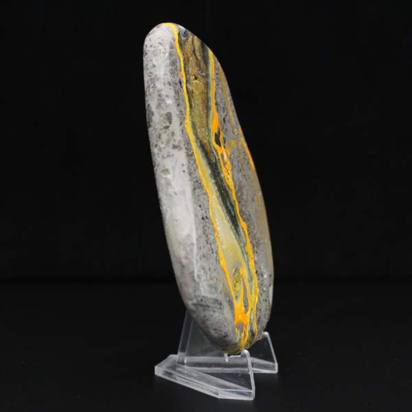 Spécimen Jaspe Bumblebee Poli Collection Science