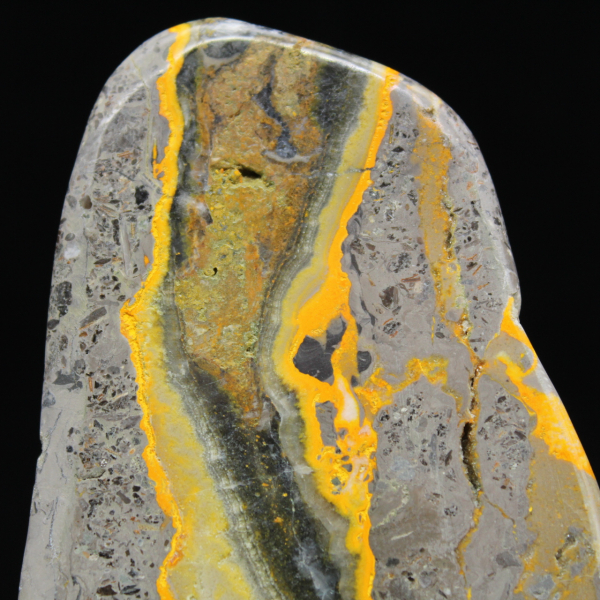 Spécimen Jaspe Bumblebee Poli Collection Science