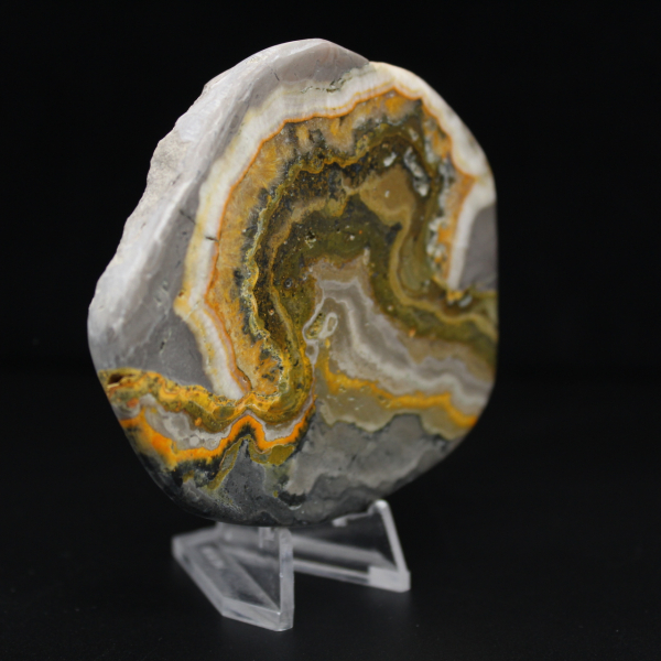 Ornement Poli Jaspe Bumblebee Indonésie Rare