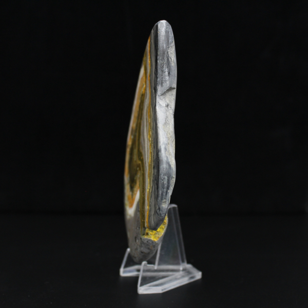 Jaspe Bumblebee Poli Roche Science Minérale