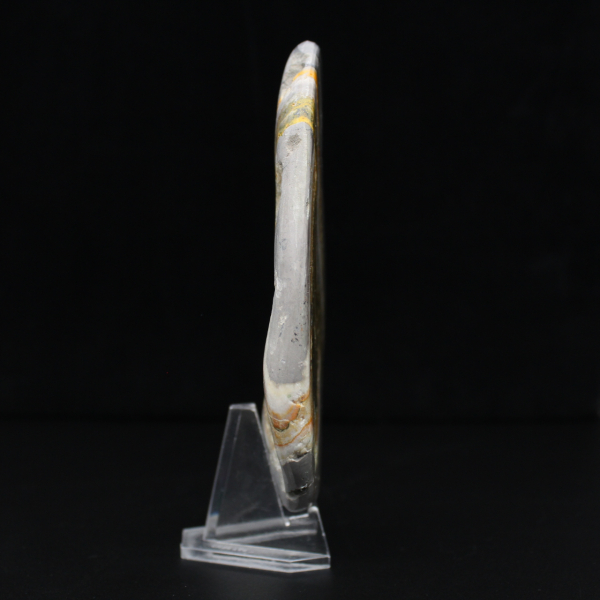 Jaspe Bumblebee Poli Roche Science Minérale