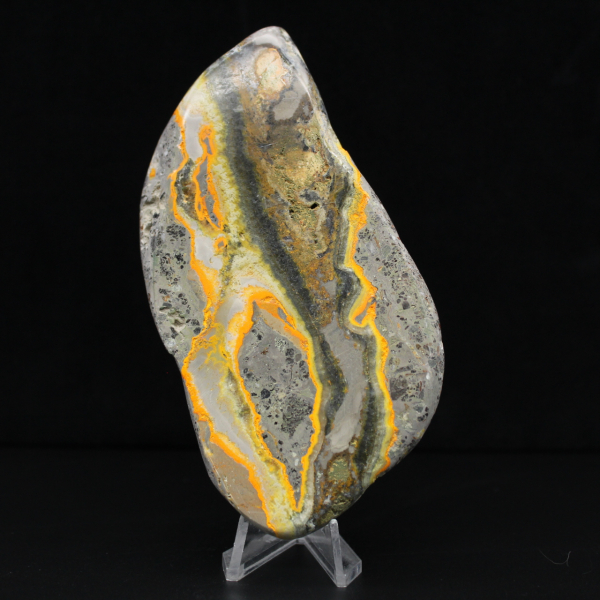 Jaspe Bumblebee Poli, Spécimen Rare Indonésie