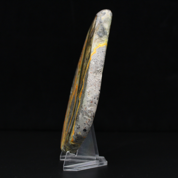 Jaspe Bumblebee Poli, Spécimen Rare Indonésie