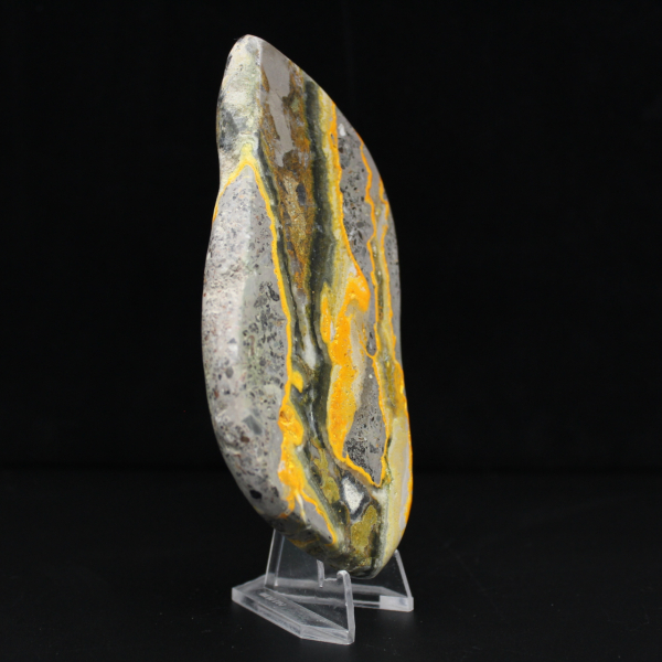 Jaspe Bumblebee Poli, Spécimen Rare Indonésie