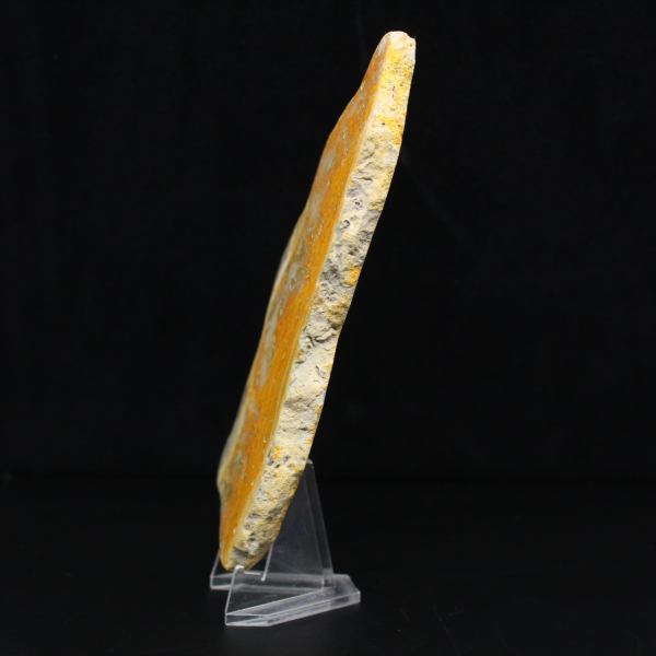 Tranche polie de Jaspe Bumblebee indonésien