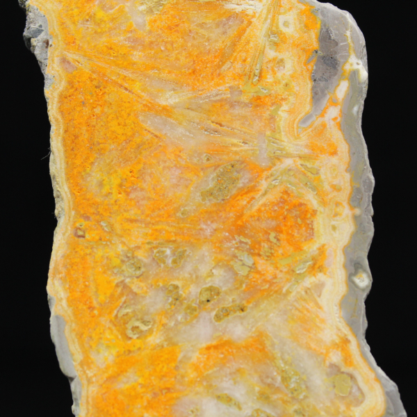 Jaspe Bumblebee d'Indonésie en tranche épaisse