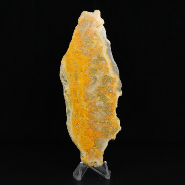 Jaspe Bumblebee indonésien : objet de vitrine