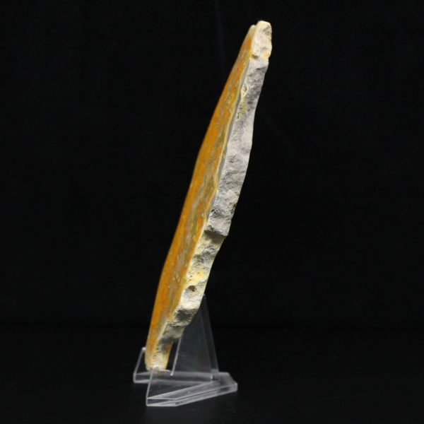 Jaspe Bumblebee indonésien : objet de vitrine