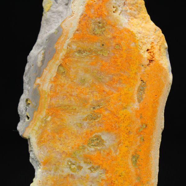 Jaspe Bumblebee indonésien : objet de vitrine