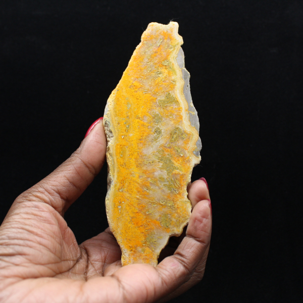 Jaspe Bumblebee indonésien : objet de vitrine