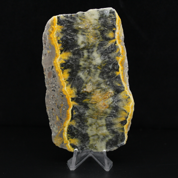 Plaque fine de Jaspe Bumblebee poli