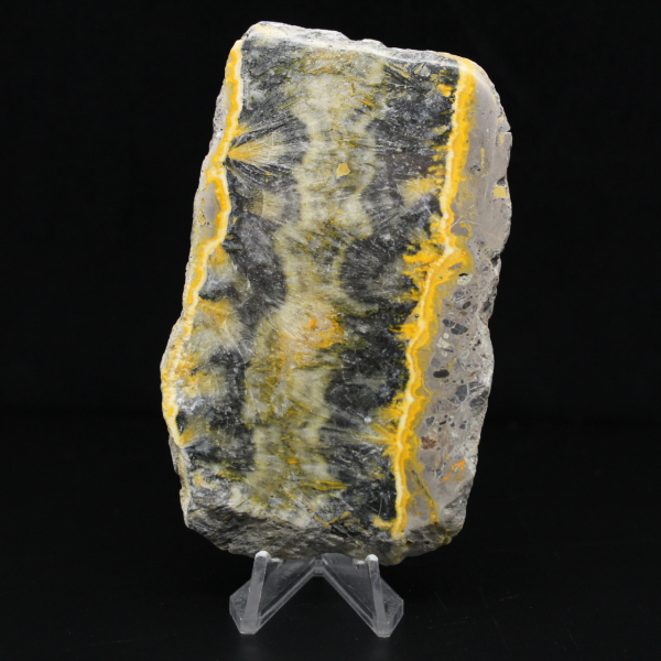 Plaque fine de Jaspe Bumblebee poli