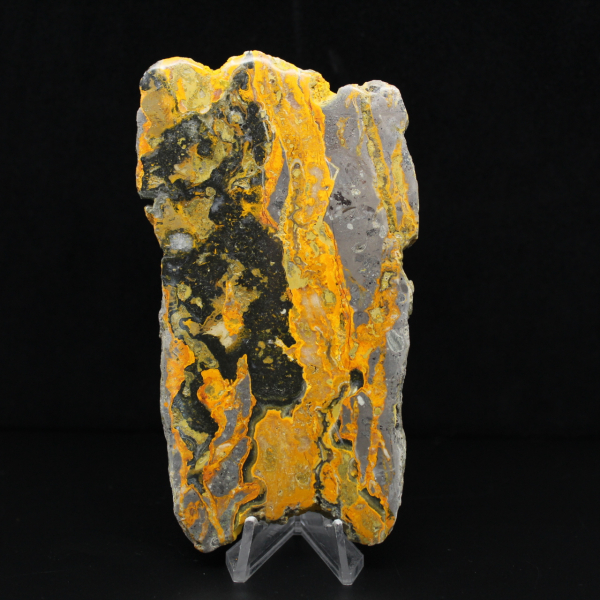 Tranche allongée de Jaspe Bumblebee poli