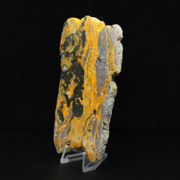 Tranche allongée de Jaspe Bumblebee poli