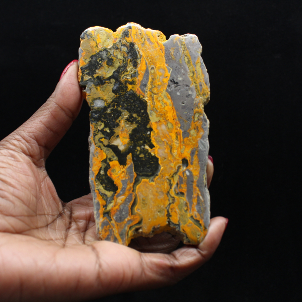 Tranche allongée de Jaspe Bumblebee poli