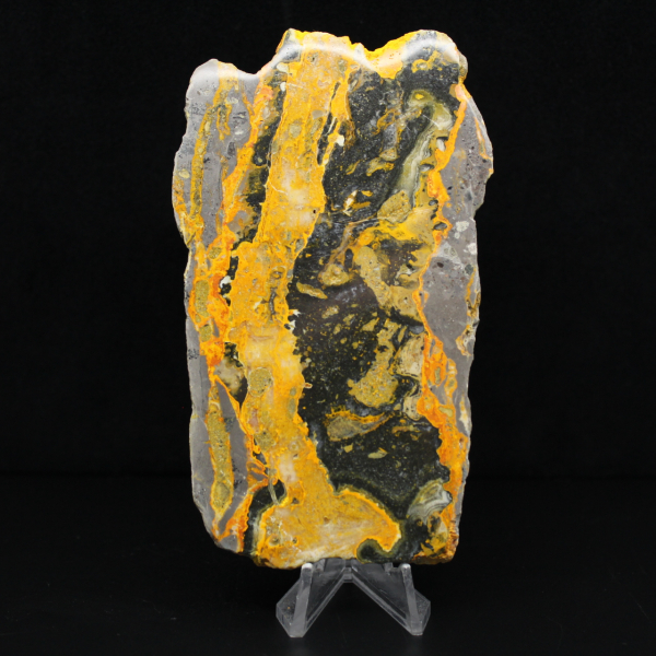 Jaspe Bumblebee d'Indonésie : large plaque polie