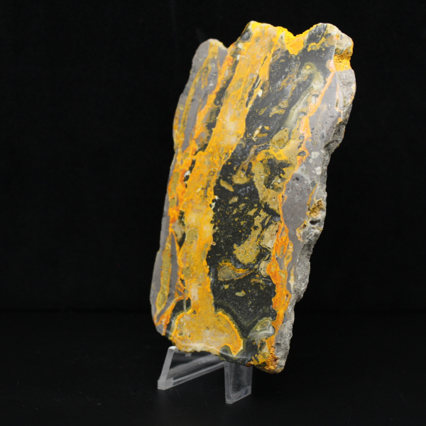 Jaspe Bumblebee d'Indonésie : large plaque polie