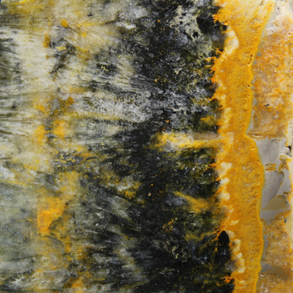 Spécimen compact de Jaspe Bumblebee poli