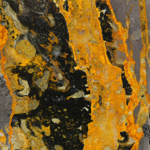 Jaspe Bumblebee : plaque polie haute qualité