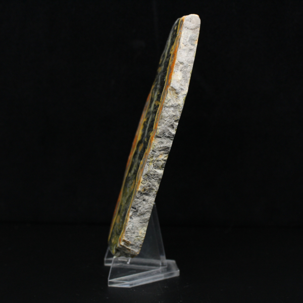 Plaque de Jaspe Bumblebee : éclat de Java