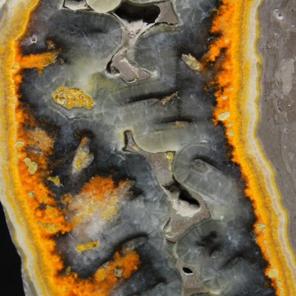 Tranche robuste de Jaspe Bumblebee d'Indonésie