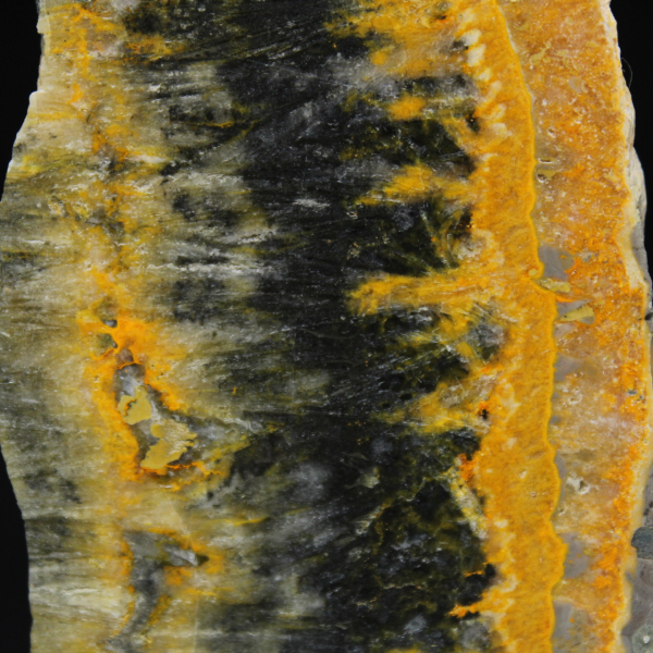 Petite plaque polie de Jaspe Bumblebee