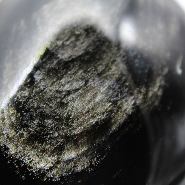 Obsidienne dorée en forme libre