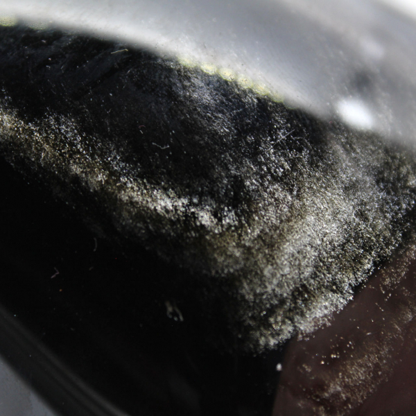 Obsidienne dorée polie Mexique